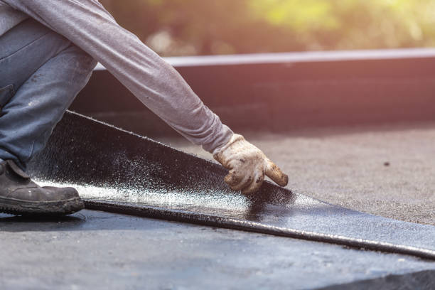 Professional Basement Waterproofing technician working in Apalachicola, FL